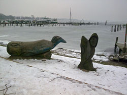 Haff_winter_2010_250x188